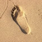 Zdroj: freeimages.com
