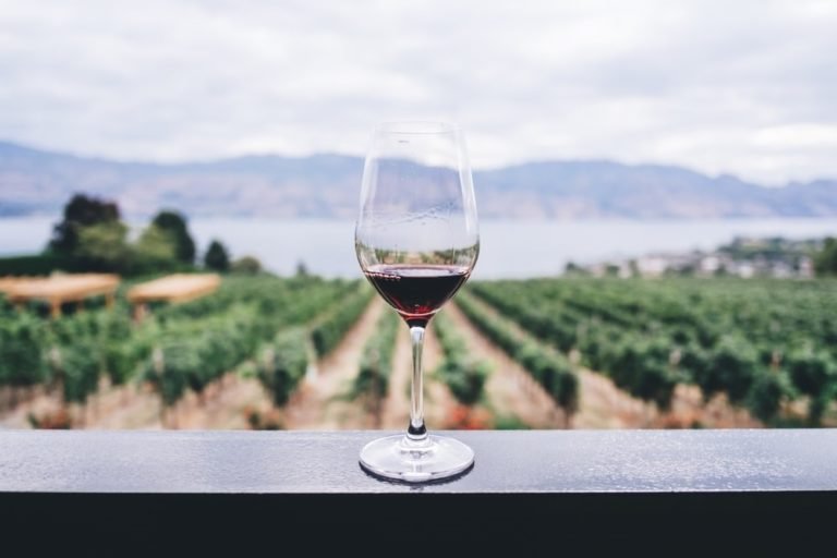 ALIFEA WINE – největší výběr vín
