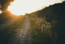 Jak přežít léto? Pomůže vám rekuperace