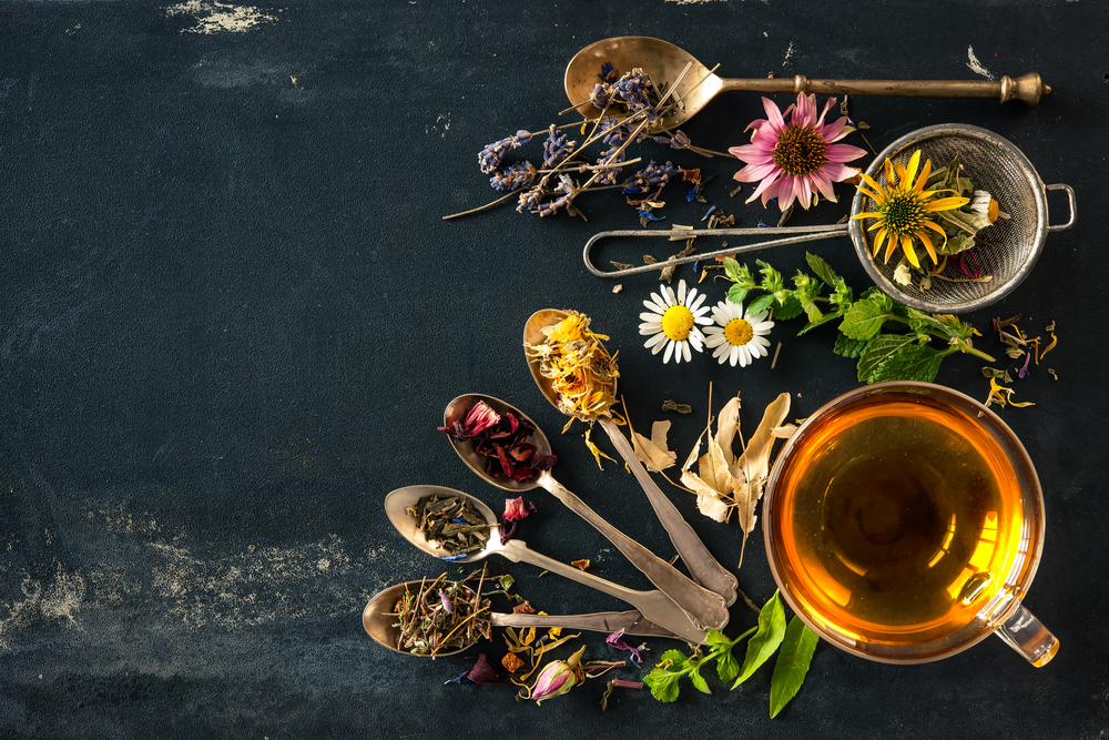 Cup of herbal tea with wild flowers and various herbs